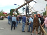 Maibaum_2016 (89).JPG
